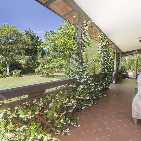 Villa Monserrato - Goelba Porto Azzurro Exterior photo