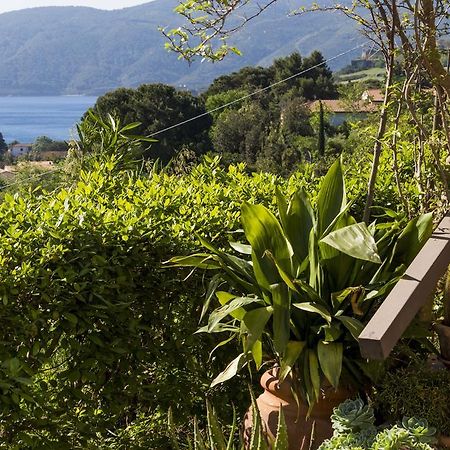Villa Monserrato - Goelba Porto Azzurro Exterior photo